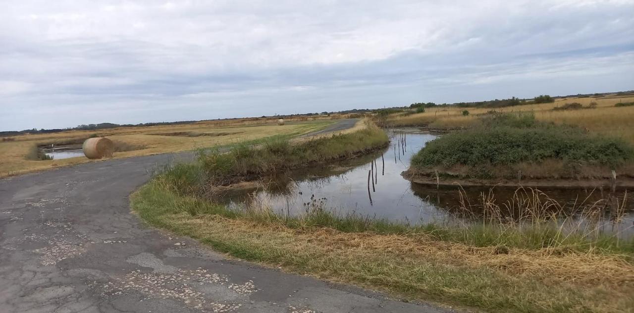 En Plein Coeur De L'Ile D'Oleron, Suite Parentale. Dolus d'Oléron 외부 사진